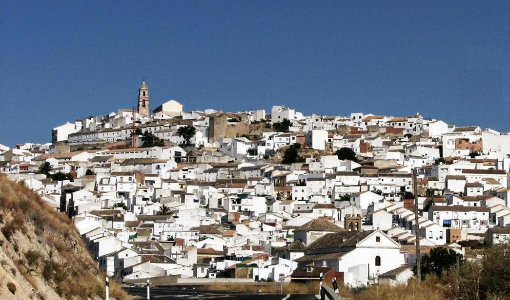 Hostal Los Claveles باينا المظهر الخارجي الصورة