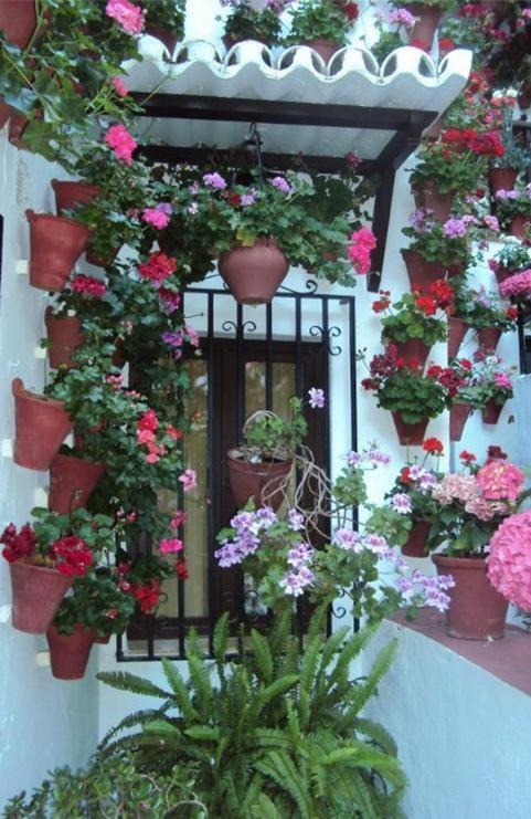 Hostal Los Claveles باينا المظهر الخارجي الصورة